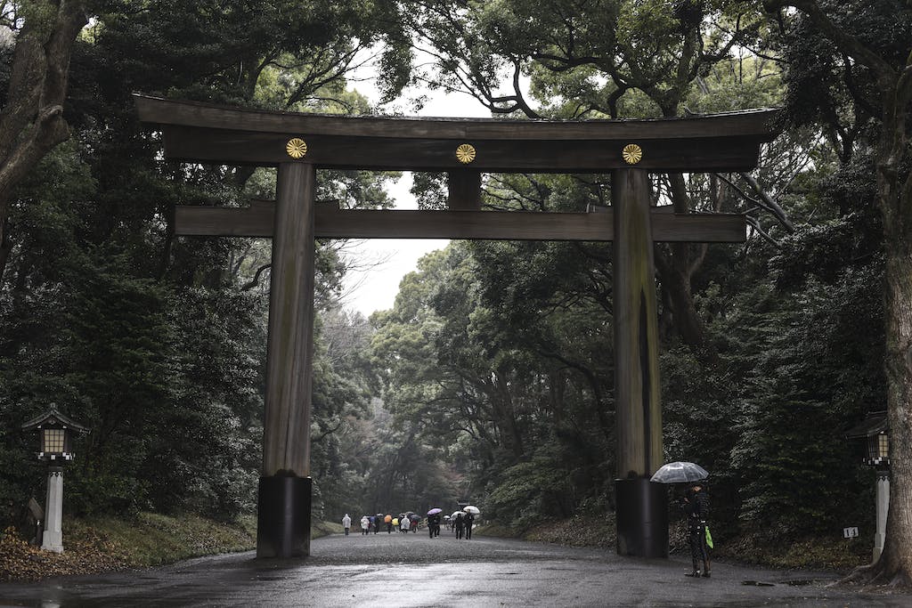 Gate leading to a path in the forest