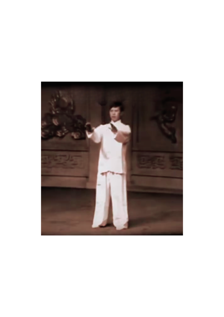 Yang opening position 起勢 héi sài